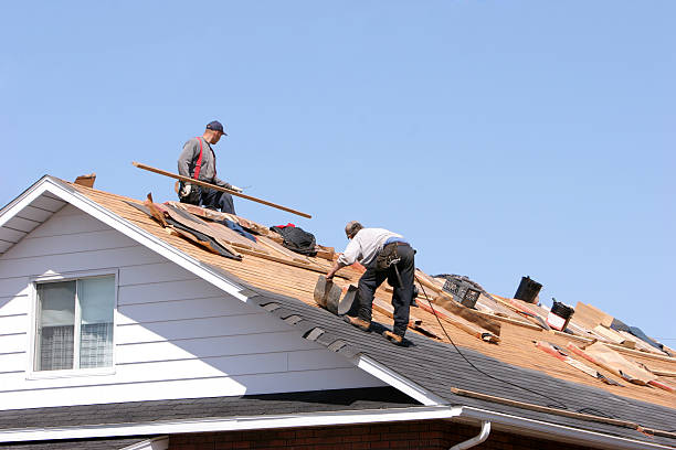 Best Roof Repair  in USA